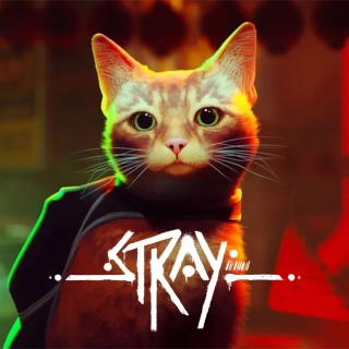 BaziChi-Website-Games-stray