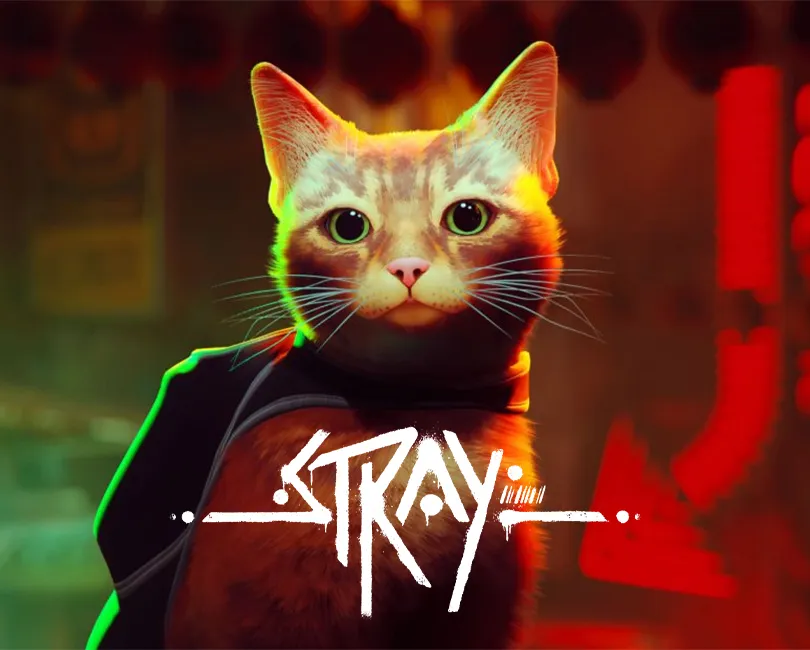 BaziChi-Website-Games-stray